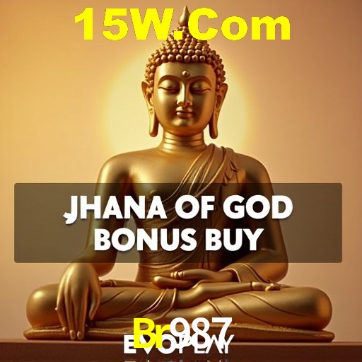 Interface Premium Br987