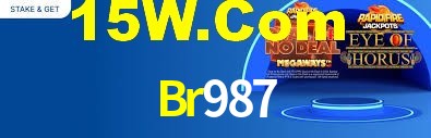 Br987 App Interface